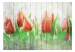 Photo Wallpaper Red Tulips on Wood - Bright Floral Motif on White Wood 60339 additionalThumb 1