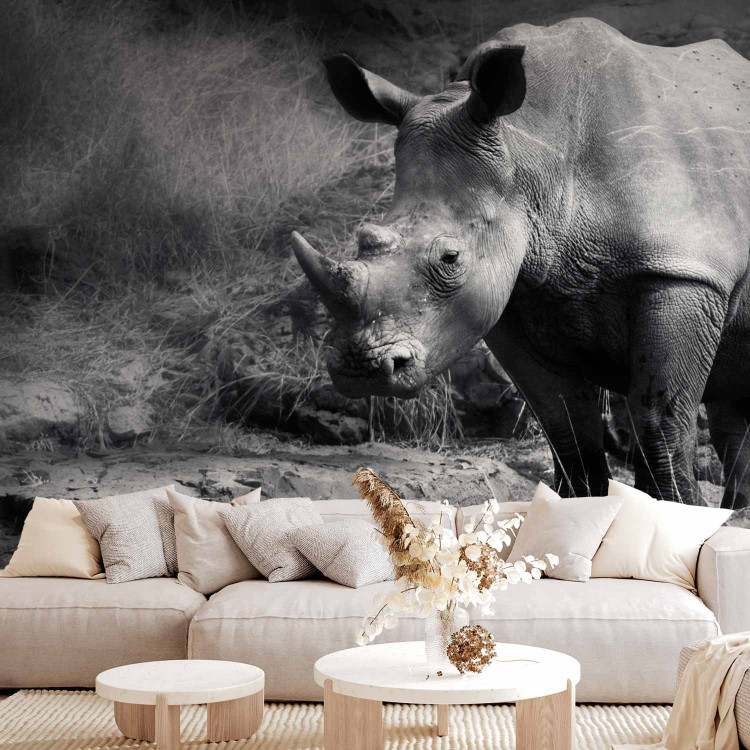 Wall Mural Peace of Animals - Black and white motif of a solitary rhinoceros on the savannah 61339