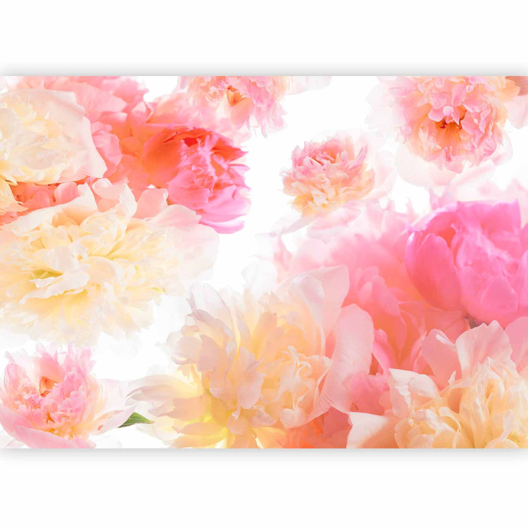 Wall Mural Pastel peonies - uniform floral motif in subtle colours 97339 additionalImage 1