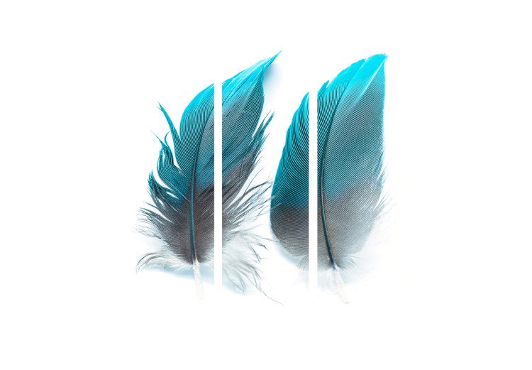 Folding Screen Blue Feathers - two feathers in blue color on light-white background 97439 additionalImage 3