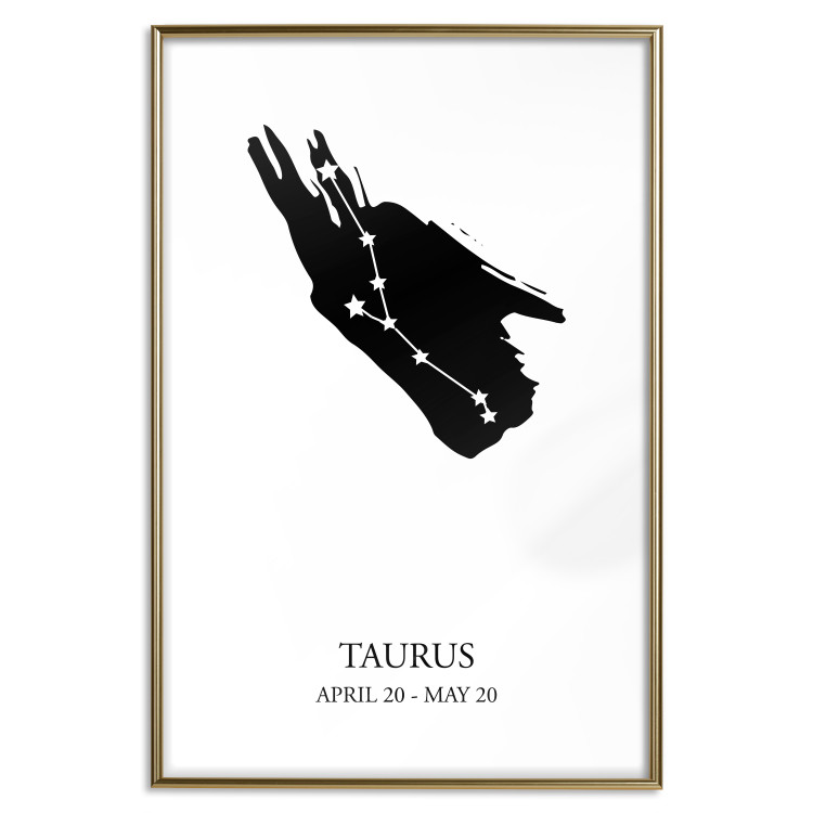 Poster Zodiac signs: Taurus - background with English texts and star constellation 114849 additionalImage 16