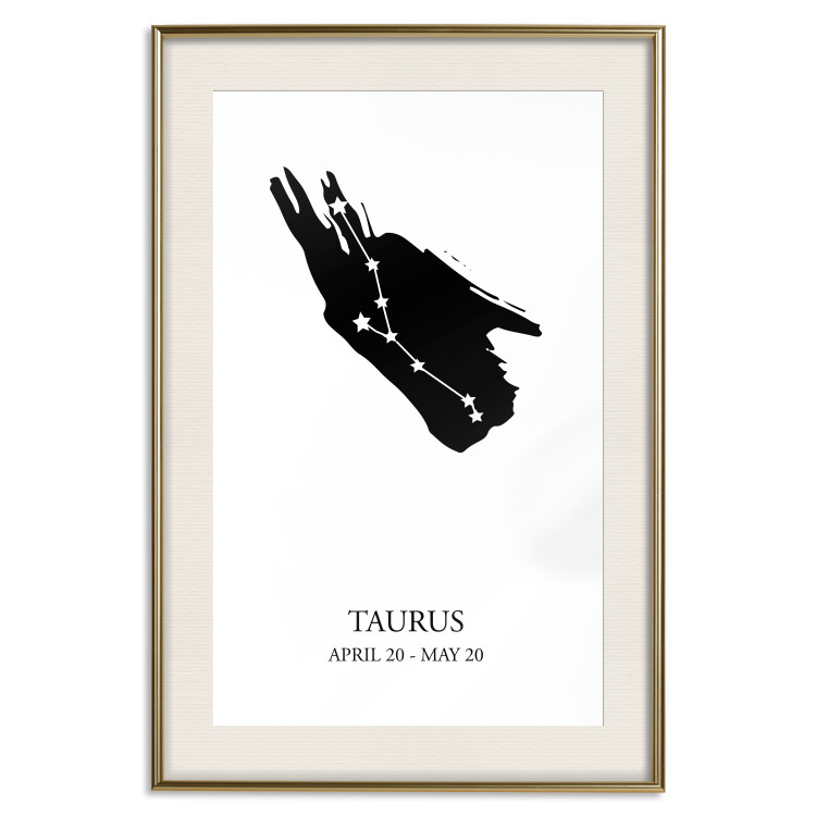 Poster Zodiac signs: Taurus - background with English texts and star constellation 114849 additionalImage 19