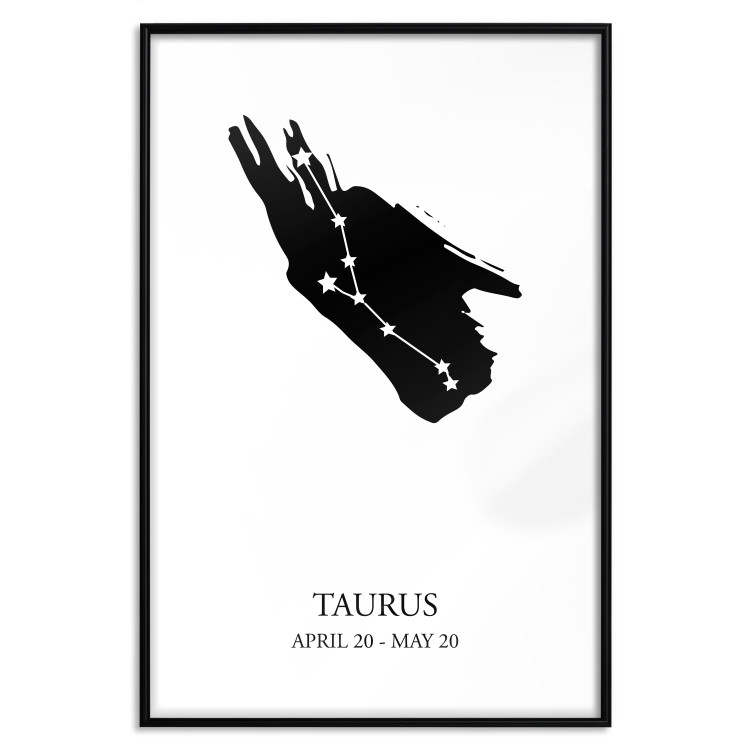 Poster Zodiac signs: Taurus - background with English texts and star constellation 114849 additionalImage 24