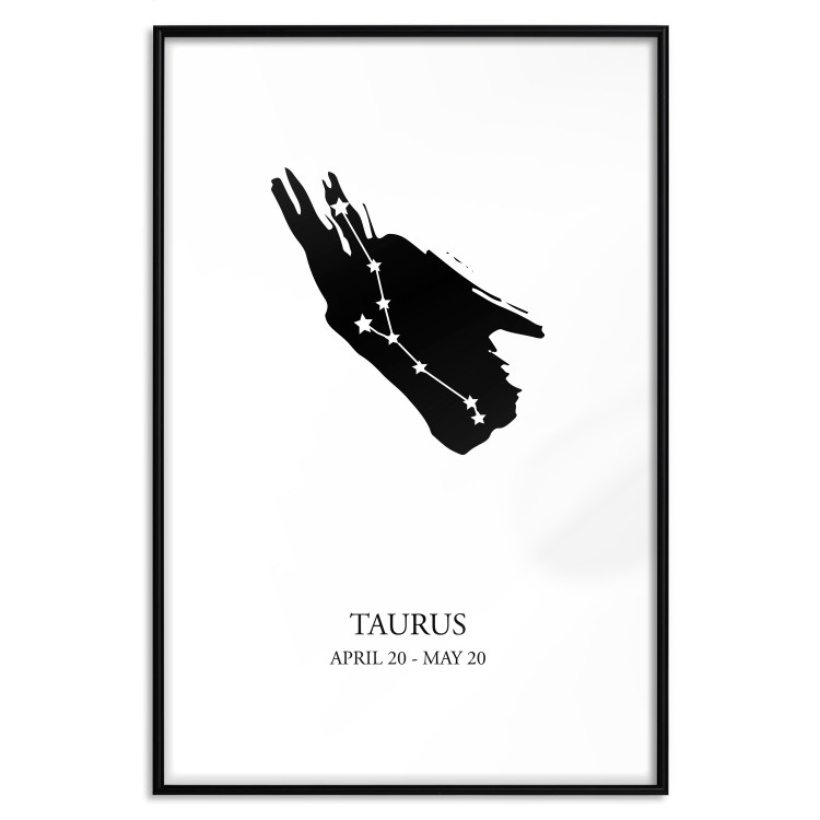 Poster Zodiac signs: Taurus - background with English texts and star constellation 114849 additionalImage 15