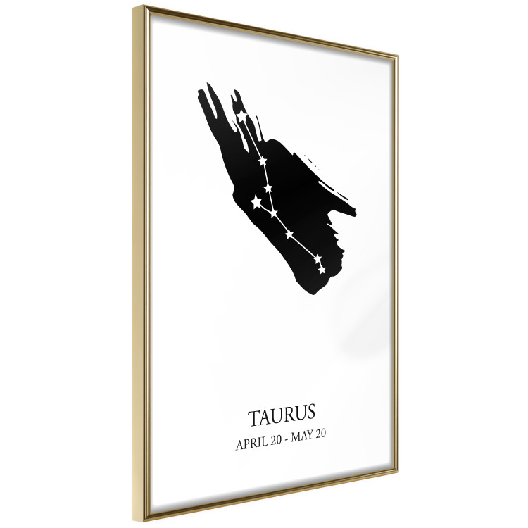 Poster Zodiac signs: Taurus - background with English texts and star constellation 114849 additionalImage 12