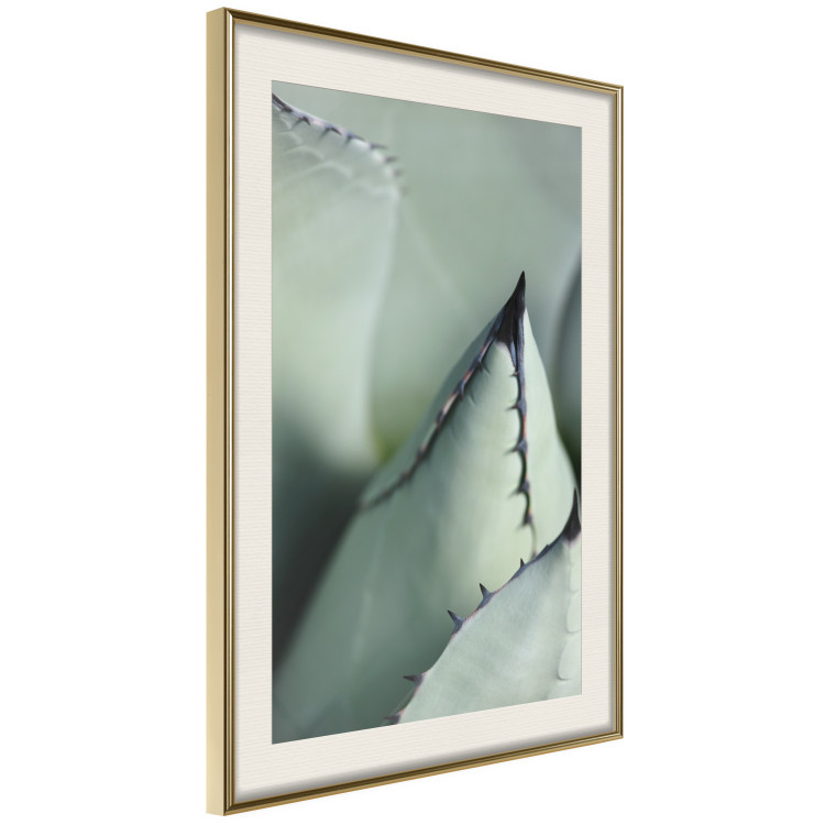 Poster Green Thorns - composition with succulent leaves in a cyan color 117149 additionalImage 2