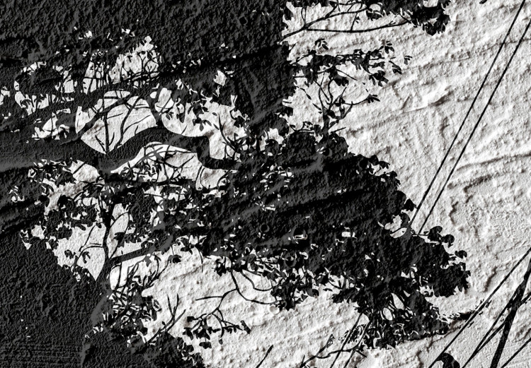 Wall Poster Shadow of Nature - black and white landscape of tree and birds on a rough background 117249 additionalImage 10