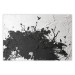 Wall Poster Shadow of Nature - black and white landscape of tree and birds on a rough background 117249