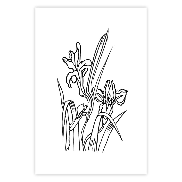 Wall Poster Iris in Love - black and white composition in line art with spring flowers 119049 additionalImage 16