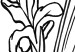 Wall Poster Iris in Love - black and white composition in line art with spring flowers 119049 additionalThumb 9