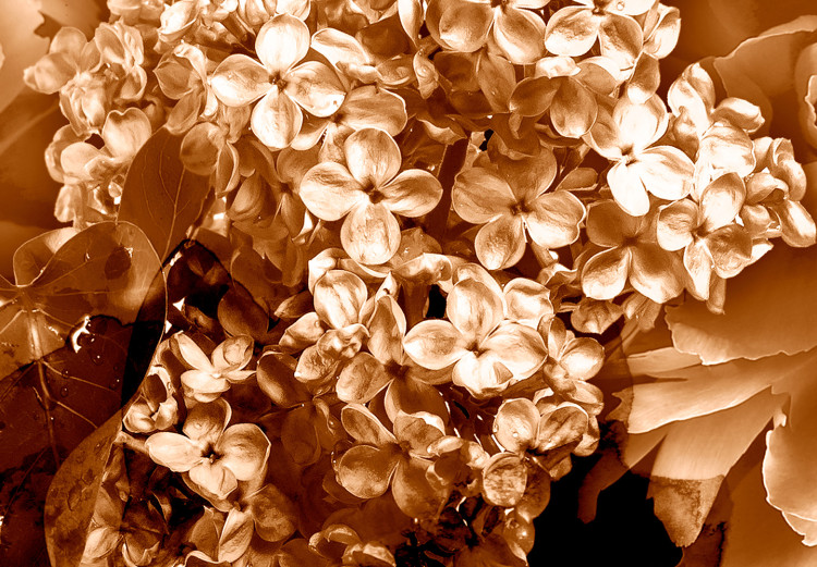 Canvas Print Autumn bouquet of flowers - a photograph of flowers in sepia colour 123849 additionalImage 4