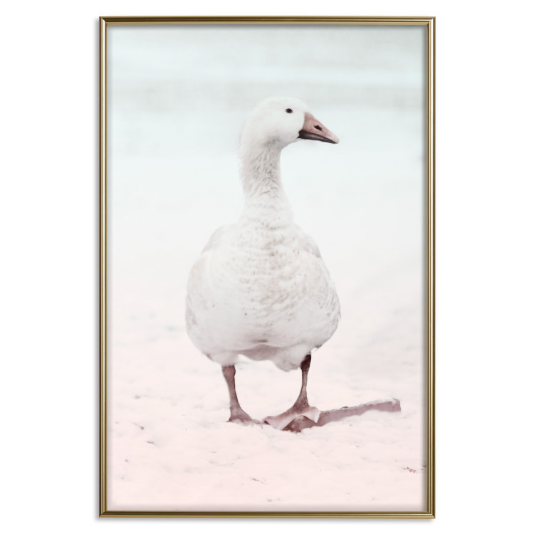 Wall Poster Winter Duckling - white duck walking on sand in winter colors 124949 additionalImage 16