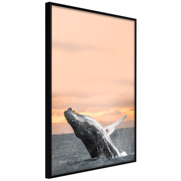 Poster Dance at Dawn - seascape of dolphins in the sea against a rising sun 126249 additionalImage 11