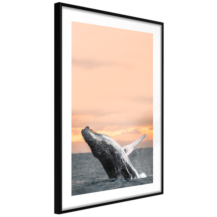 Poster Dance at Dawn - seascape of dolphins in the sea against a rising sun 126249 additionalImage 8