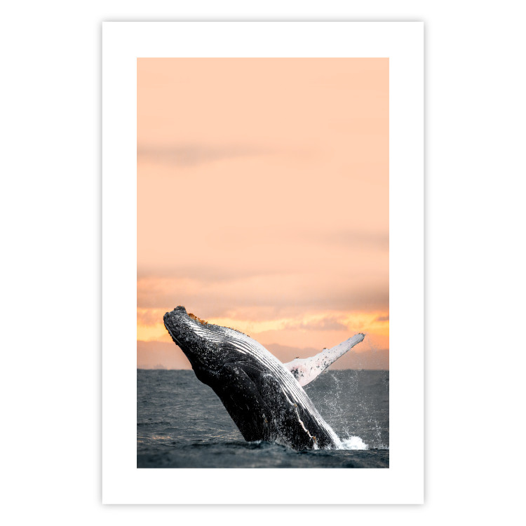 Poster Dance at Dawn - seascape of dolphins in the sea against a rising sun 126249 additionalImage 25