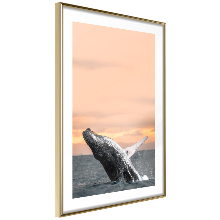 Poster Dance at Dawn - seascape of dolphins in the sea against a rising sun 126249 additionalImage 7