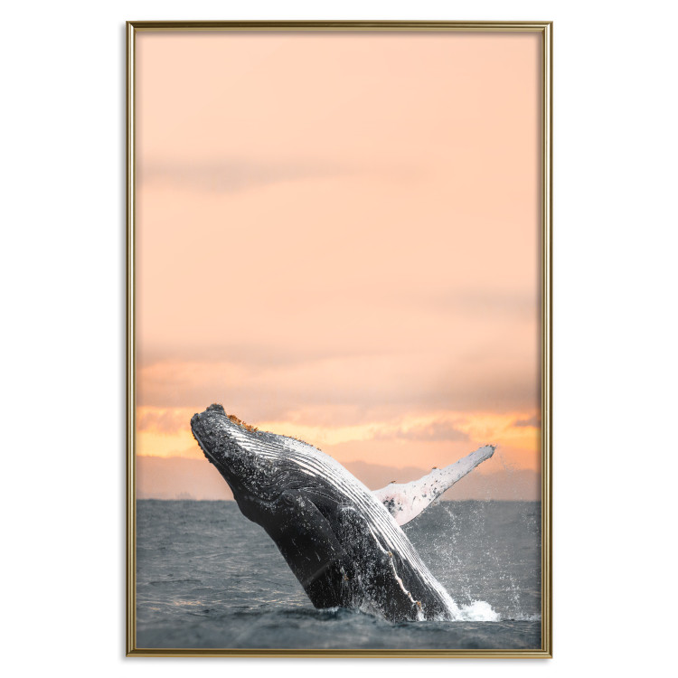 Poster Dance at Dawn - seascape of dolphins in the sea against a rising sun 126249 additionalImage 21
