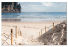 Large canvas print Beach Path [Large Format] 128749