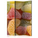 Room Separator Tasty Jellies (3-piece) - colorful composition with sweets 132749