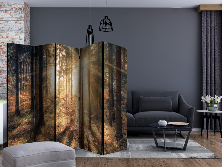 Room Divider Screen Autumn Grove II (5-piece) - sunny landscape of trees in the middle of the forest 132949 additionalImage 4