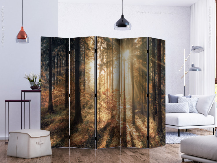 Room Divider Screen Autumn Grove II (5-piece) - sunny landscape of trees in the middle of the forest 132949 additionalImage 2