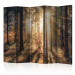 Room Divider Screen Autumn Grove II (5-piece) - sunny landscape of trees in the middle of the forest 132949