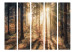 Room Divider Screen Autumn Grove II (5-piece) - sunny landscape of trees in the middle of the forest 132949 additionalThumb 3