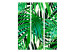 Room Divider Screen Tropical Leaves - composition of green palm leaves on a gray background 133849 additionalThumb 3
