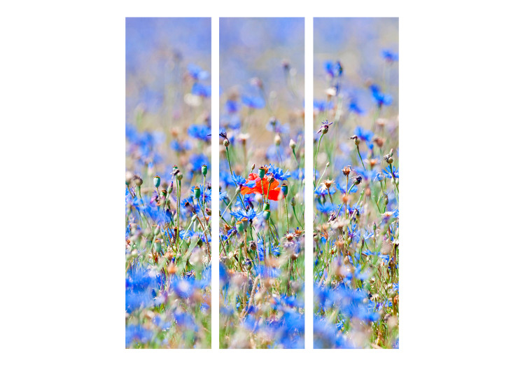 Room Separator Meadow in Sky Blue - Cornflowers - summer landscape of blue flowers 133949 additionalImage 3