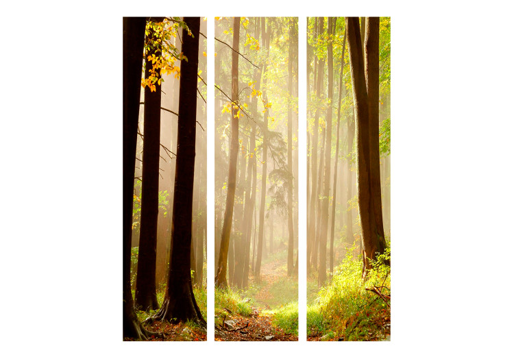 Room Divider Mysterious Forest Path (3-piece) - landscape of a path and forest trees 134149 additionalImage 3