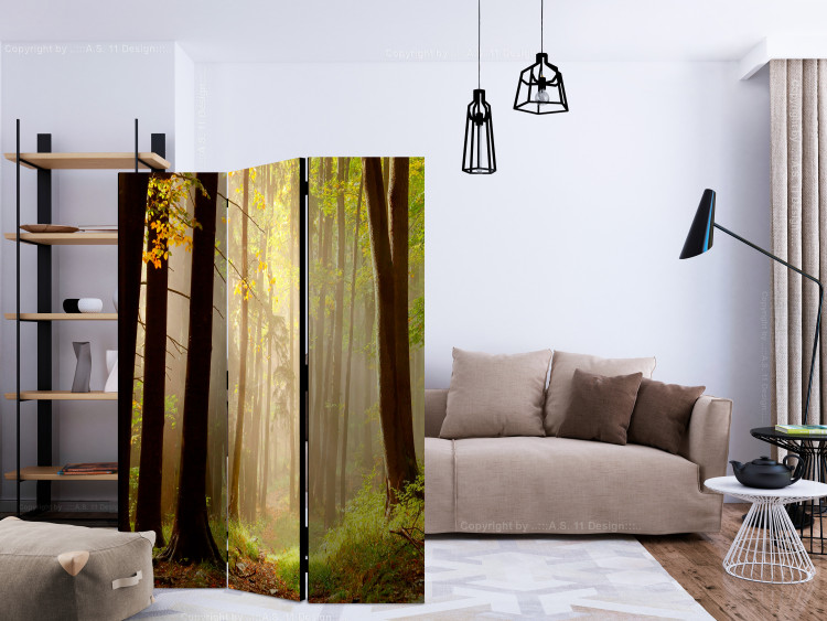 Room Divider Mysterious Forest Path (3-piece) - landscape of a path and forest trees 134149 additionalImage 4