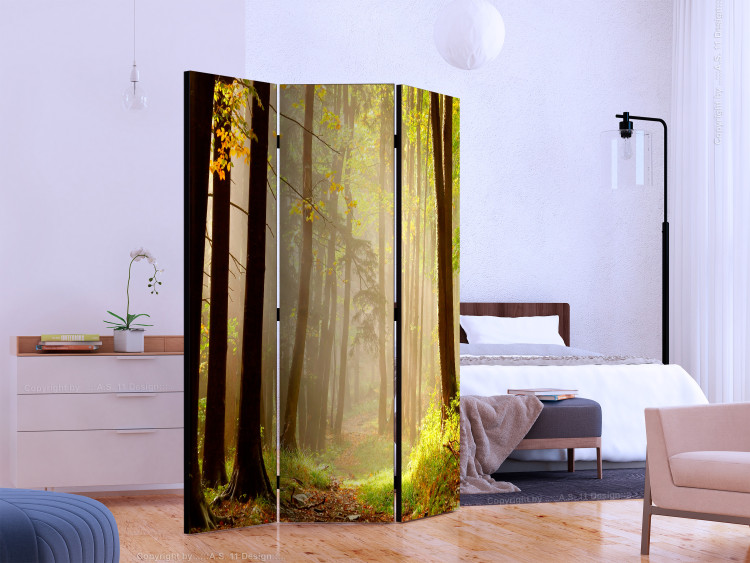 Room Divider Mysterious Forest Path (3-piece) - landscape of a path and forest trees 134149 additionalImage 2