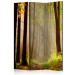 Room Divider Mysterious Forest Path (3-piece) - landscape of a path and forest trees 134149