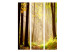 Room Divider Mysterious Forest Path (3-piece) - landscape of a path and forest trees 134149 additionalThumb 3