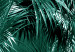 Poster Turquoise Lagoon - tropical palm landscape in turquoise contrast 134449 additionalThumb 5