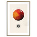 Poster Mars - Red Planet and Abstract Composition With the Solar System 146249 additionalThumb 19