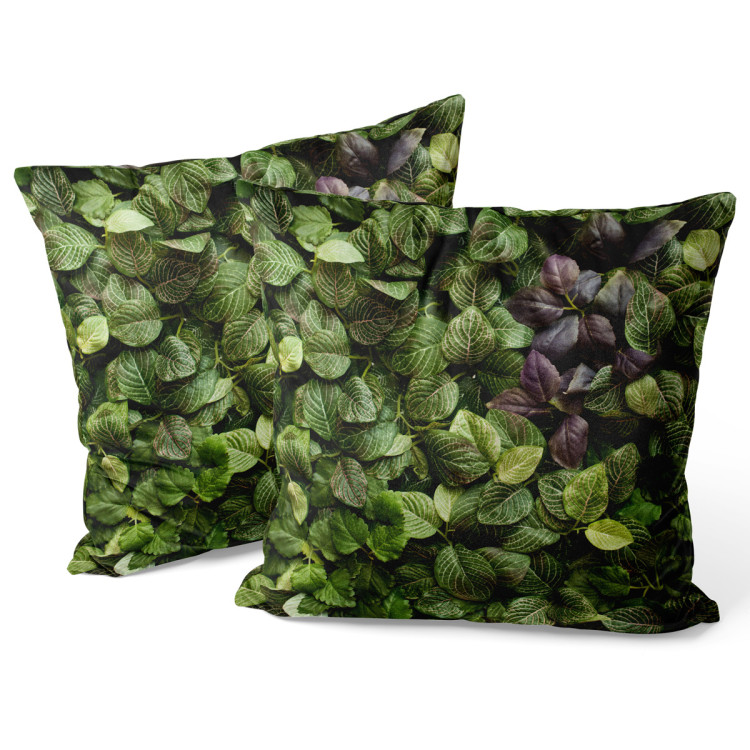 Decorative Velor Pillow Laying green - a lush vegetation in a detailed representation 147049 additionalImage 3