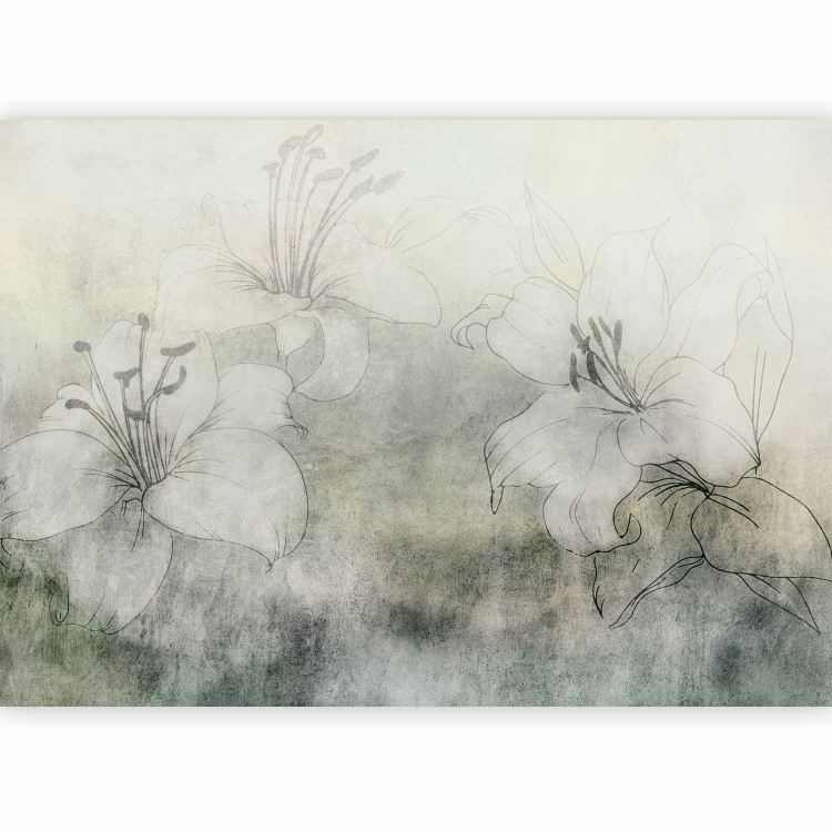Wall Mural Blooming in the Fog - White Lilies on a Shaded Background - Green 149249 additionalImage 1