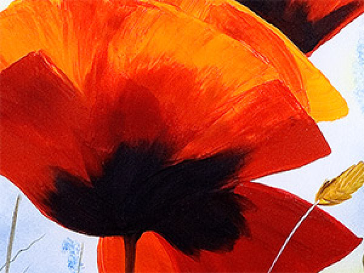 Canvas Morning poppies 47149 additionalImage 2