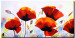 Canvas Morning poppies 47149