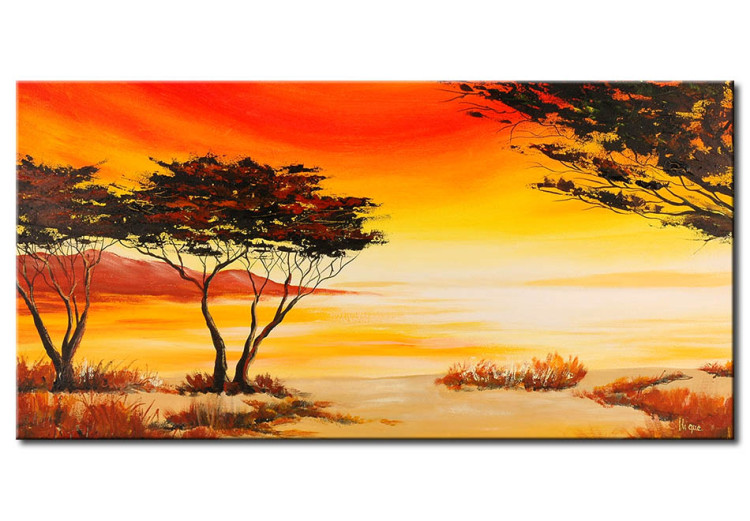Canvas Print African space 49649