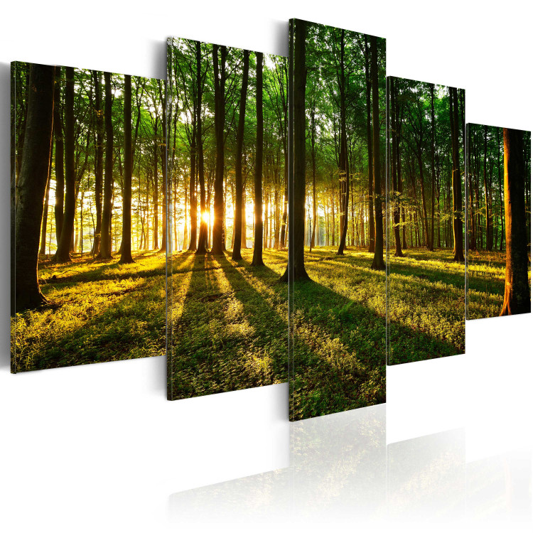 Canvas Print Adventure in the woods 50049 additionalImage 2