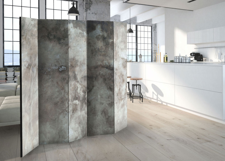 Room Divider Screen Hail Cloud II - architectural texture in the motif of gray concrete 95549 additionalImage 4