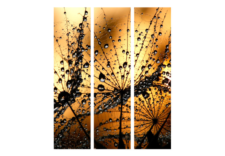 Room Separator Dandelions in the Rain - flowers with water droplets on an orange background 95649 additionalImage 3