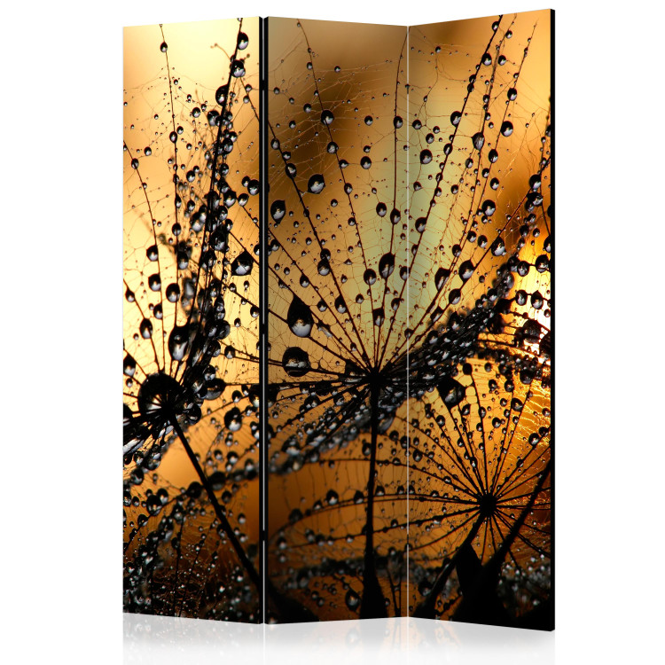 Room Separator Dandelions in the Rain - flowers with water droplets on an orange background 95649