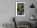 Poster Gilded Monstera - Composition with a tropical plant on a dark background 114359 additionalThumb 13