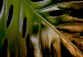 Poster Gilded Monstera - Composition with a tropical plant on a dark background 114359 additionalThumb 8