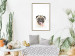 Wall Poster Pug - funny smiling dog with tongue out on white background 114959 additionalThumb 15