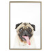 Wall Poster Pug - funny smiling dog with tongue out on white background 114959 additionalThumb 26