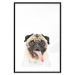 Wall Poster Pug - funny smiling dog with tongue out on white background 114959 additionalThumb 20